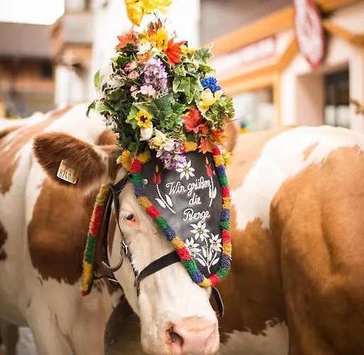 Haus Brandeck בית הארחה